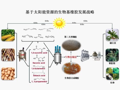 &ldquo;十三五&rdquo;國家重點(diǎn)研發(fā)計劃項目&ldquo;新型生物基橡膠材料制備技術(shù)與應(yīng)用示范&rdquo;順利通過項目綜合績效評價