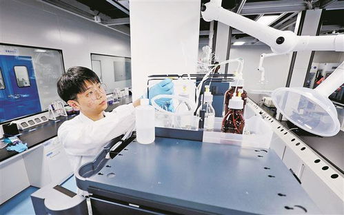 廈門布局建設(shè)首批聯(lián)合實驗室 重點(diǎn)推動新興產(chǎn)業(yè)和未來產(chǎn)業(yè)領(lǐng)域布局建設(shè)