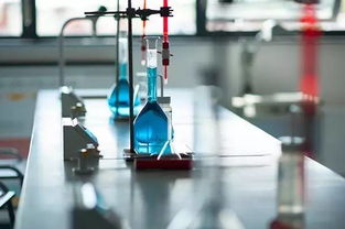 為什么科學(xué)家要做 沒用 的研究