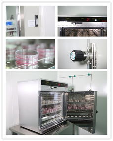 廣州環亞化妝品科技