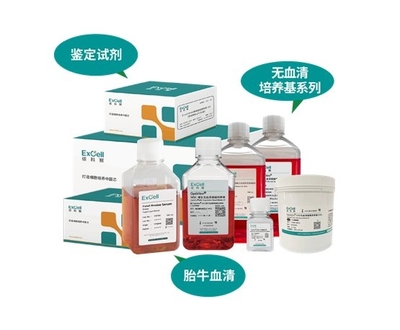 依科賽:聚焦胎牛血清、無血清培養基和鑒定試劑國產化和國際化